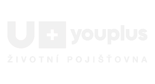 LOGO youplus